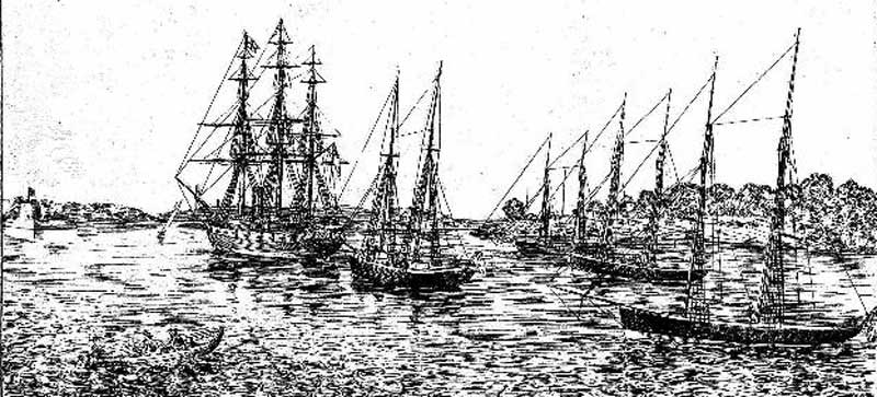 From left: HMS Clio, HM Schooners Sandfly, Conflict, Beagle, and Renard, at anchor in Farm Cove, Port Jackson. Image: The Sydney Mail and NSW Advertiser, (NSW), Sat 2 Aug 1873, p. 1. Reproduction: Peter de Waal