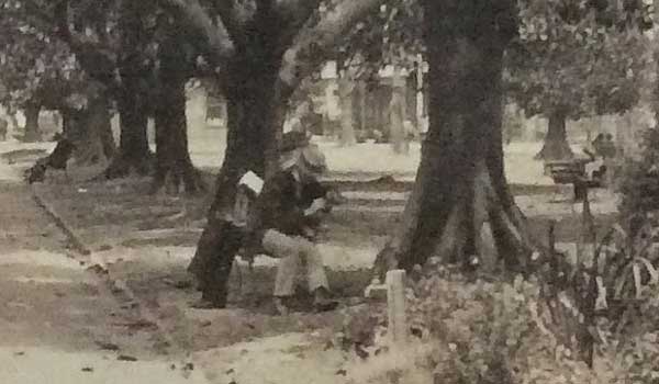 Hyde Park, men sitting on benches, 1910. Image: NSW State Library PXA 2113, box 56. Reproduction: Geoff Friend