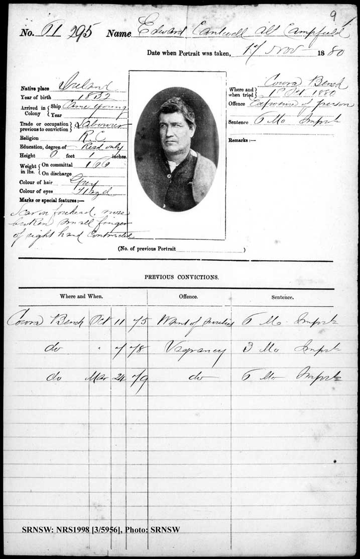 SRNSW: NRS1998, [3/5956], Bathurst Gaol photographic description book, 1874-1930, No. 295, p. 9, R5084.
