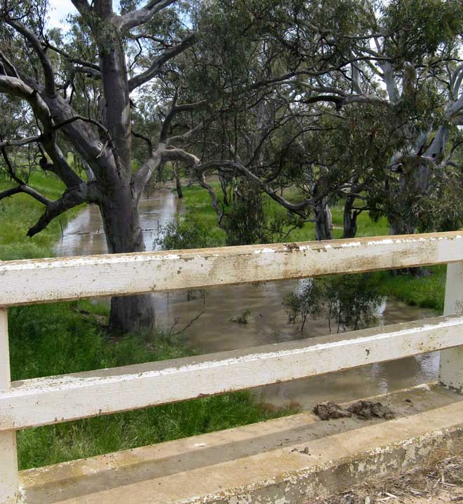 Tuppal creek near Tocumwal. Photo: Peter de Waal