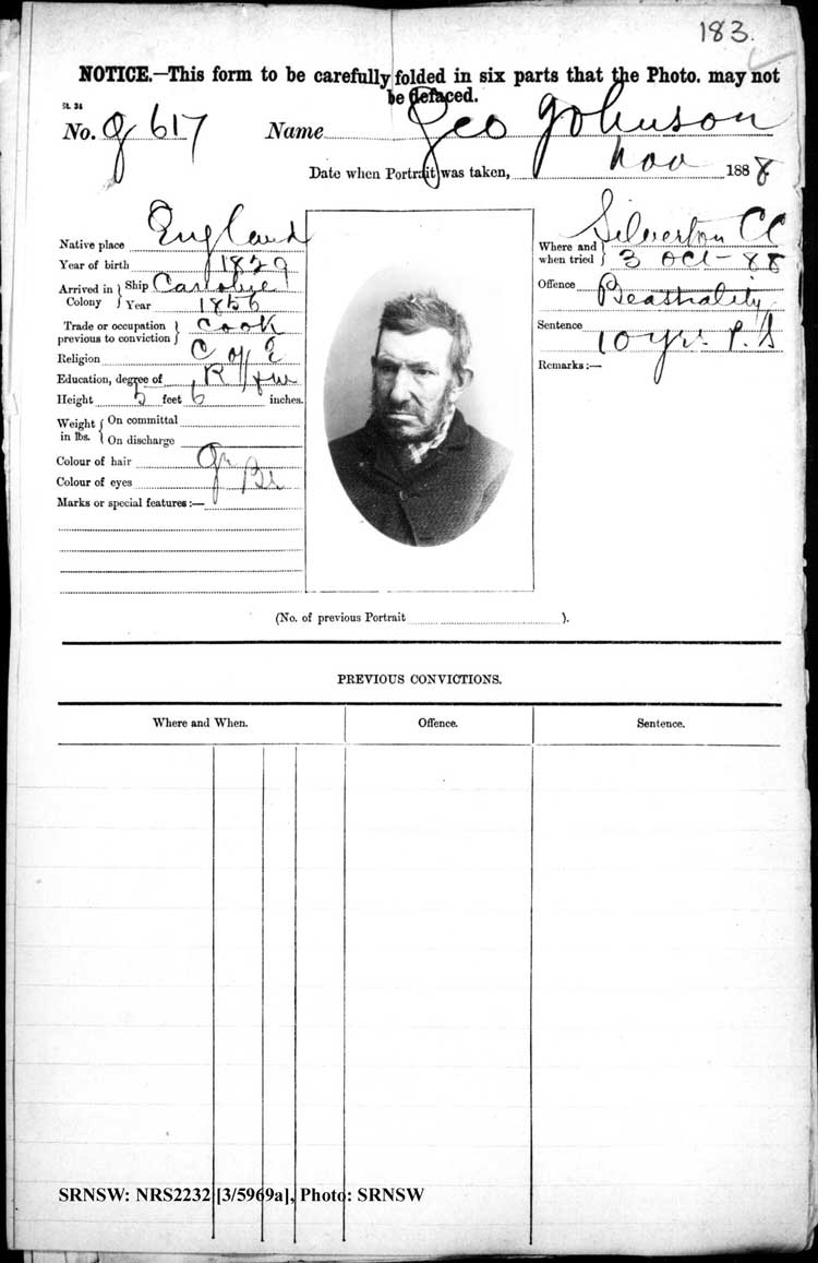 SRNSW: NRS2232, [3/5969a], Goulburn Gaol photographic description book, Dec 1884-May 1890, No. 617, p. 183, R5119.