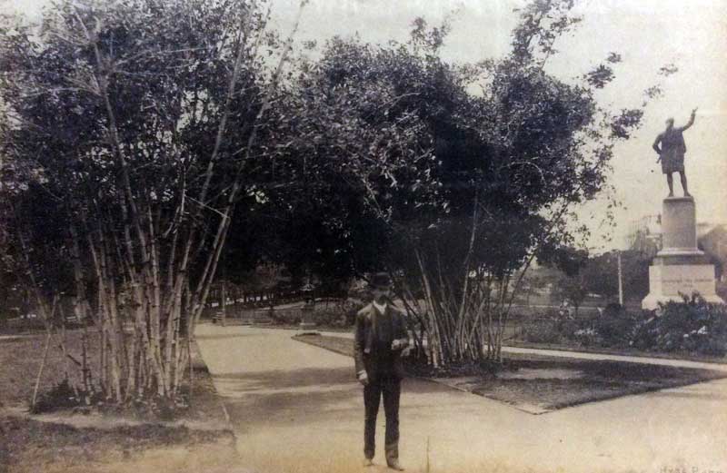 Gentleman in suit and top hat strolling along path in Hyde Park, c. 1890. Image: NSW State Library, PXA2113, box 56. Reproduction: Peter de Waal