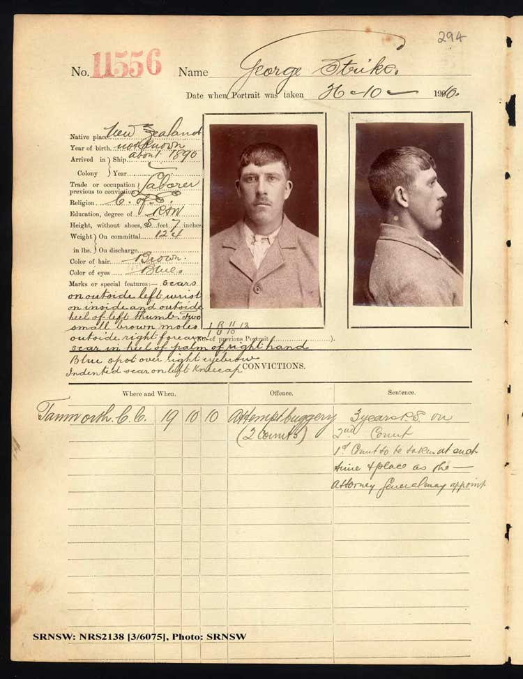 SRNSW: NRS2138, [3/6075], Darlinghurst Photograph description books, 1910-1911, No. 11556, p. 294, R5114.