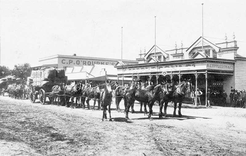 “Carting the Staple Product” (wool) – Wee Waa, NSW, c. 1910. Image: NSW State Library collection. Reproduction: Peter de Waal “Carting the Staple Product” (wool) – Wee Waa, NSW, c. 1910. Image: NSW State Library collection. Reproduction: Peter de Waal