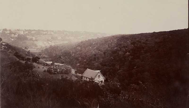 Bellevue Hill, looking west towards south Double Bay-Woollahra, 1897. Image: NSW State Library collection. Reproduction: Peter de Waal